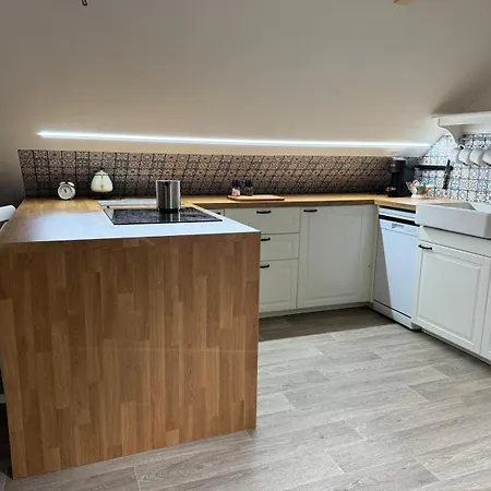 U Ledniho Medveda Apartment