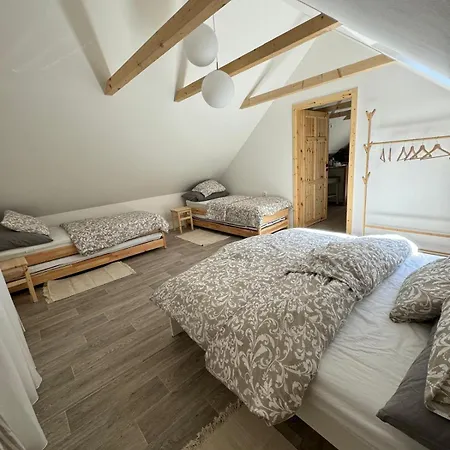 U Ledniho Medveda Apartment *