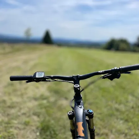 U Ledniho Medveda 公寓 Týn nad Vltavou