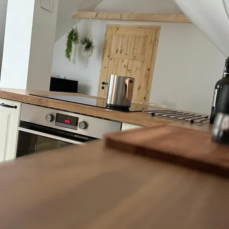 U Ledniho Medveda Apartment Tyn nad Vltavou