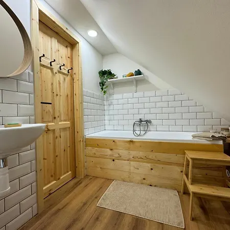 U Ledniho Medveda Apartment *