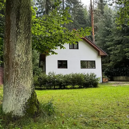 Appartement U Ledniho Medveda Týn nad Vltavou