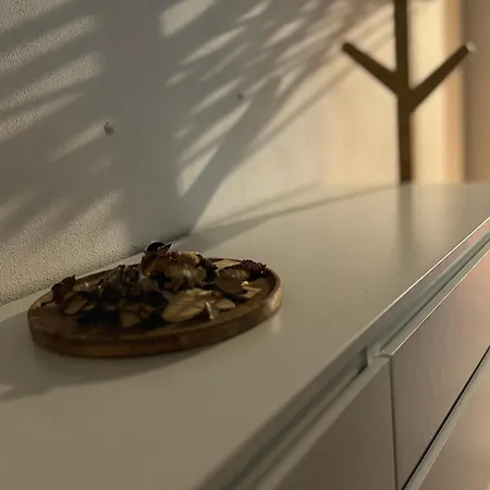 U Ledního Medvěda Týn nad Vltavou