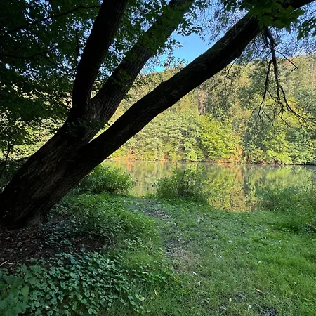 Apartmán U Ledního Medvěda