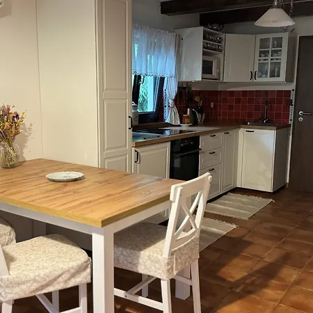 U Ledniho Medveda Apartment *