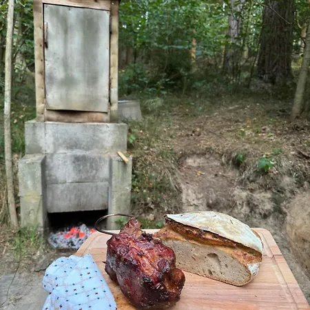 U Ledního Medvěda *