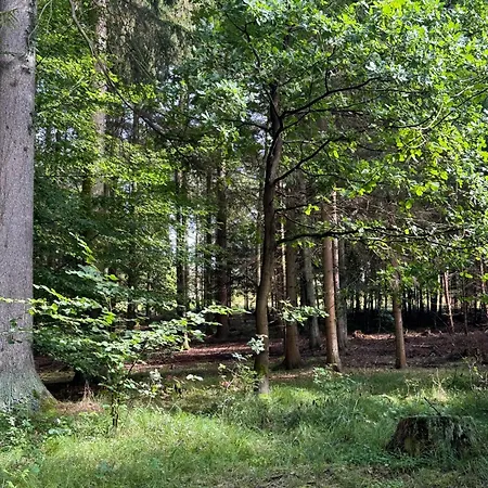 U Ledniho Medveda Týn nad Vltavou