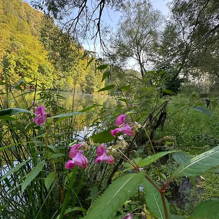 U Ledního Medvěda Apartmán Týn nad Vltavou