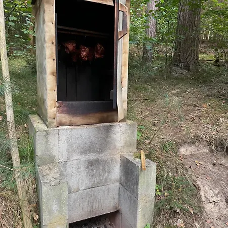 Apartmán U Ledního Medvěda