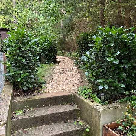 Apartmán U Ledního Medvěda Týn nad Vltavou