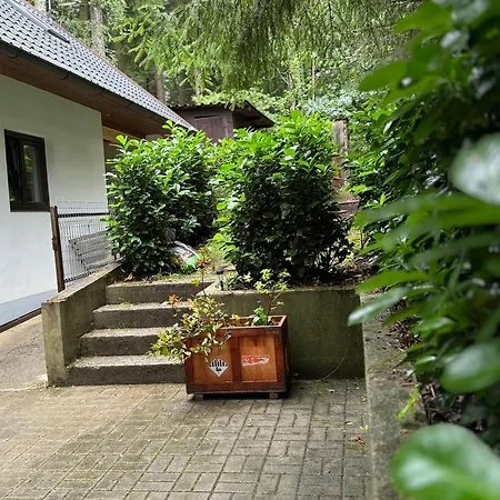 U Ledniho Medveda Apartment