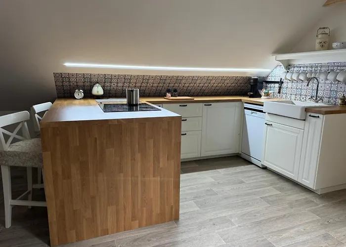 U Ledniho Medveda Apartament