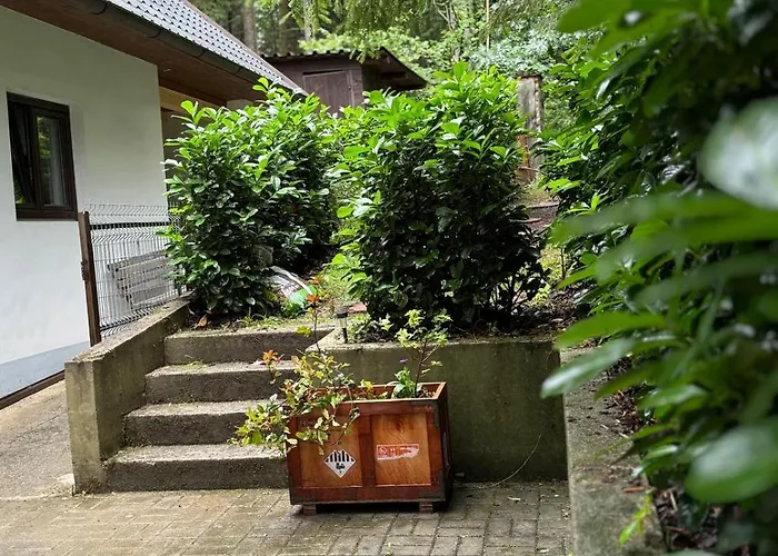 Apartament U Ledniho Medveda