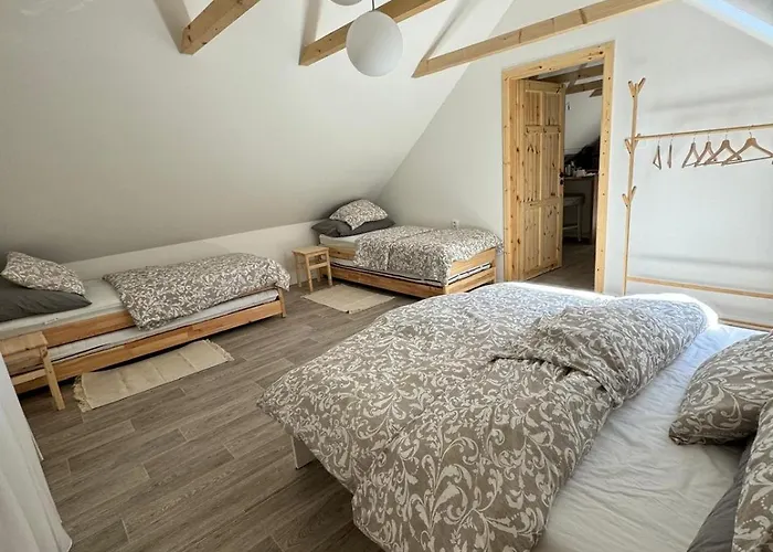 U Ledniho Medveda Apartament *