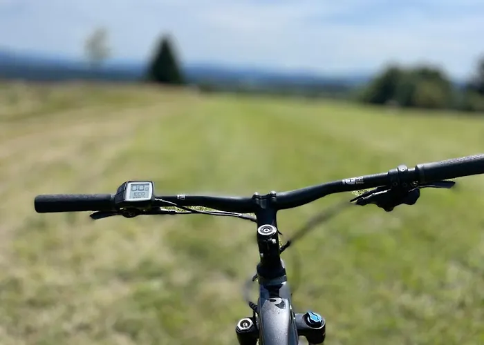 U Ledniho Medveda Apartament Týn nad Vltavou