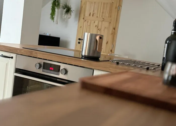 U Ledniho Medveda Apartament Týn nad Vltavou