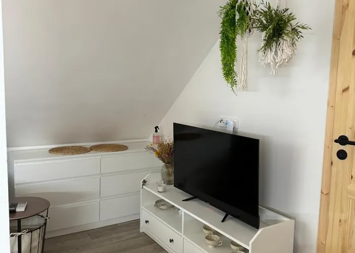 Apartament U Ledniho Medveda *