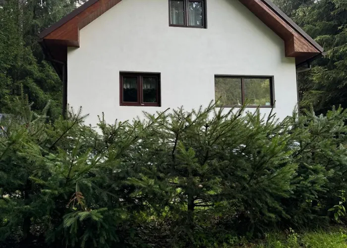 Apartament U Ledniho Medveda