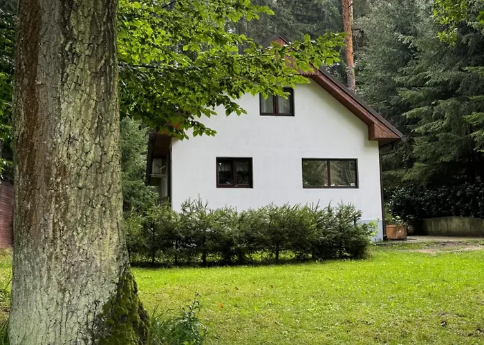 Apartament U Ledniho Medveda Týn nad Vltavou