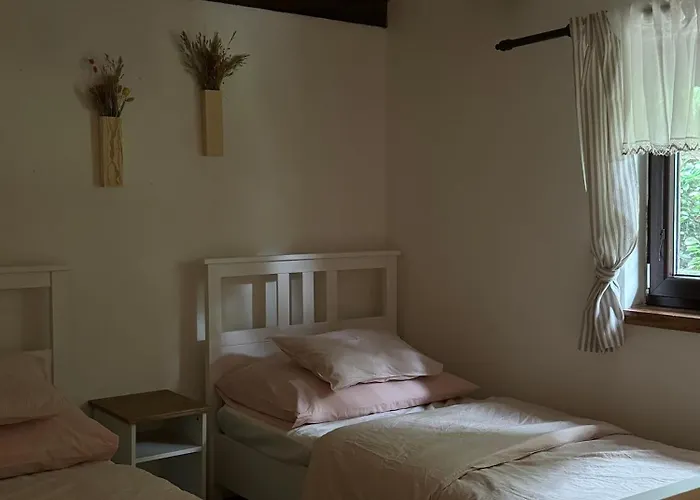 Apartament U Ledniho Medveda Týn nad Vltavou