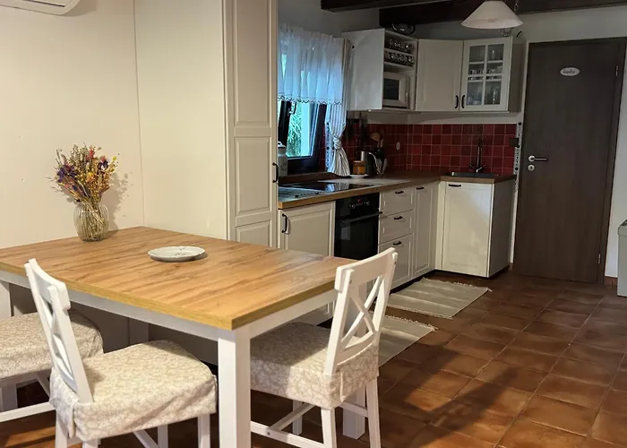 U Ledniho Medveda Apartament *