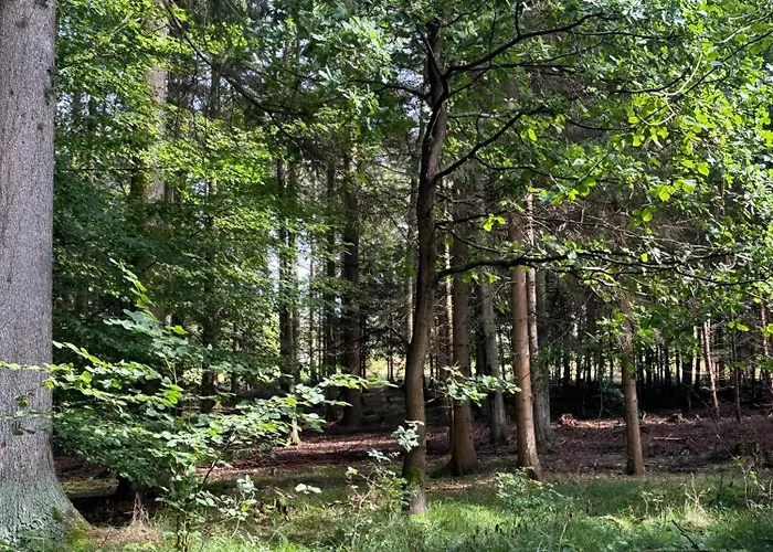 U Ledniho Medveda Týn nad Vltavou