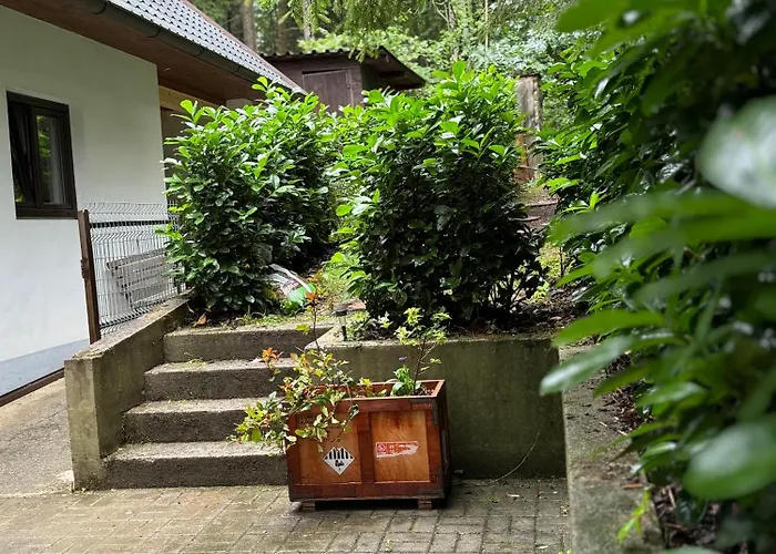 U Ledniho Medveda Apartament