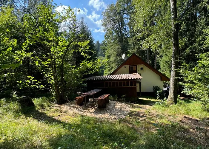 U Ledniho Medveda