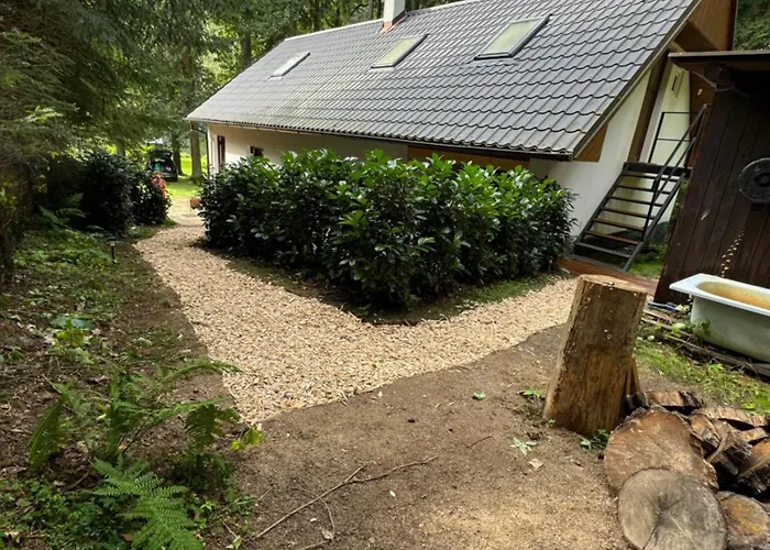 Apartament U Ledniho Medveda *